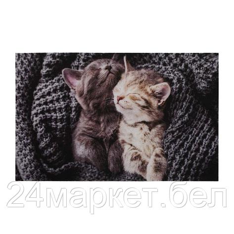 Коврик влаговпитывающий "Samba" 50*80 см. "Милота", котята, "VORTEX", фото 2