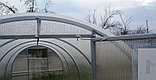 Теплица "Мини" 4*1,7*1,65м (оцинкованная труба 20х20мм+поликарбонат 4мм), фото 4