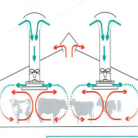 Вентиляция молочно-доильного блока