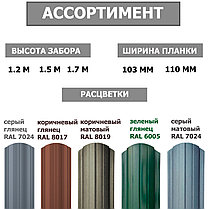 Штакетник металлический Европланка 103мм Глянцевый RAL 7024/7024 ПЭ 0.40мм, фото 2