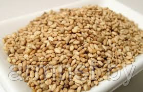 Кунжут белый (кунжутное семя) Индия мешок 25 кг