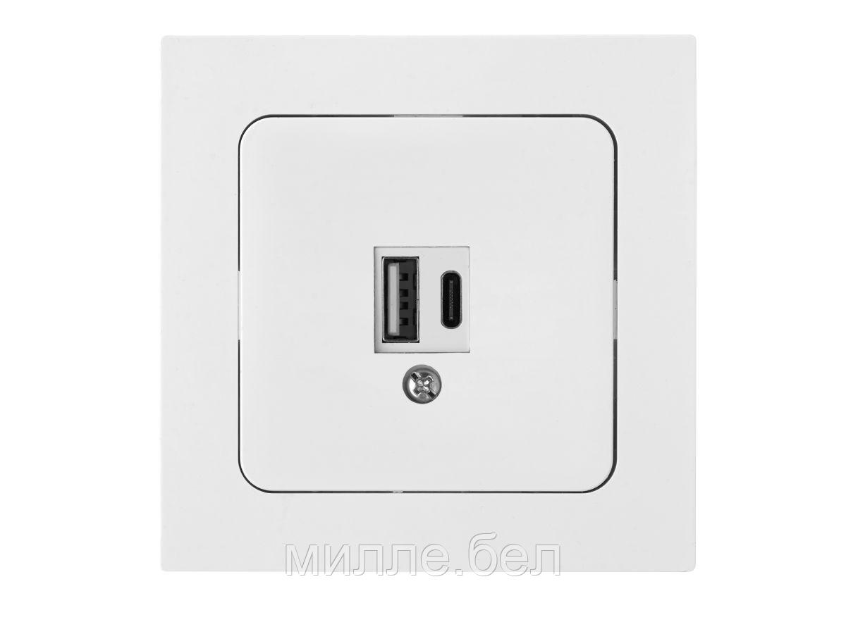 Розетка с двумя USB-разъемами (скрытая) белая, Astrum BYLECTRICA