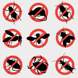 Средства против насекомых и грызунов