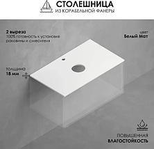 Тумба для ванной ЗОВ Кито 100 со столешницей T995C2 / K100LW0MWMC, фото 2