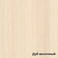 Шкаф купе системы Senator 1200х600х2200, фото 2