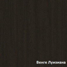 Шкаф купе системы Senator 1200х600х2200, фото 2
