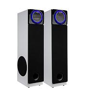 Акустическая система ELTRONIC (30-58) HOME SOUND - колонка 10", белый