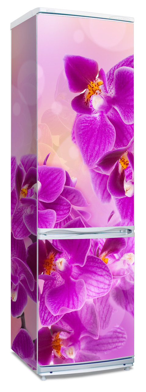 Наклейка на холодильник с фиолетовыми орхидеями. - фото 1 - id-p36511528