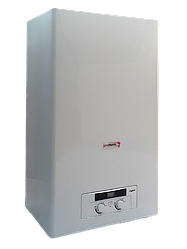 Газовый котел Protherm Lynx 24 Рысь