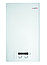 Газовый котел Protherm Lynx 24 Рысь, фото 2