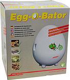 Инкубатор Lucky Reptile Egg-O-Bator EOB-1, фото 4