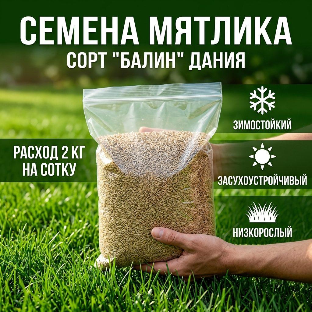 Мятлик луговой сорт Балин (Дания) 1-25кг