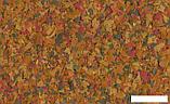 Сухой корм Tetra Rubin Flakes 10 л, фото 2