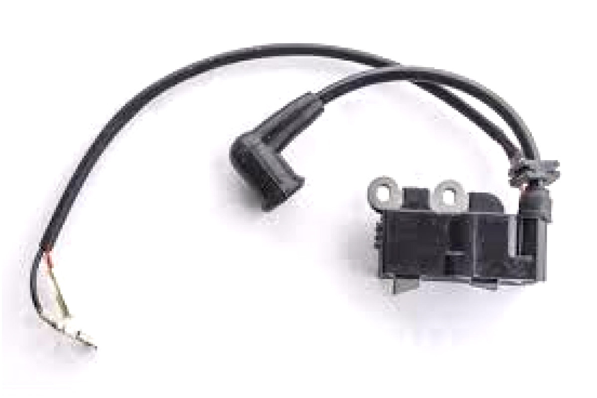 Катушка зажигания (модуль) FS38/55
