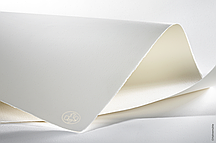 Бумага для офорта Printmaking Paper с водяным знаком Hahnemühle Rooster 300 гр/м 56 x 78 см