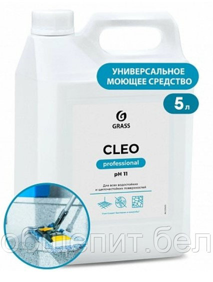 Средство моющее универсальное "Cleo", 5.2 кг, щелочное с антибактериальным эффектом (125415)