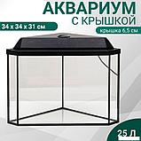 Аквариум Sima-Land Дельта 3424617 (черный), фото 2