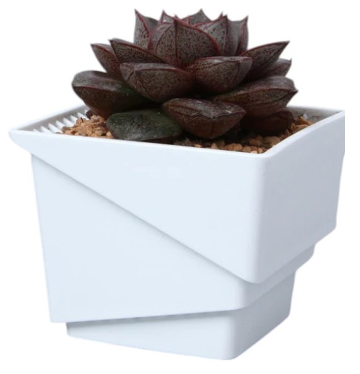Горшок для кактусов и суккулентов Botanica Air (7.35x6.5см/0.29л, белый)