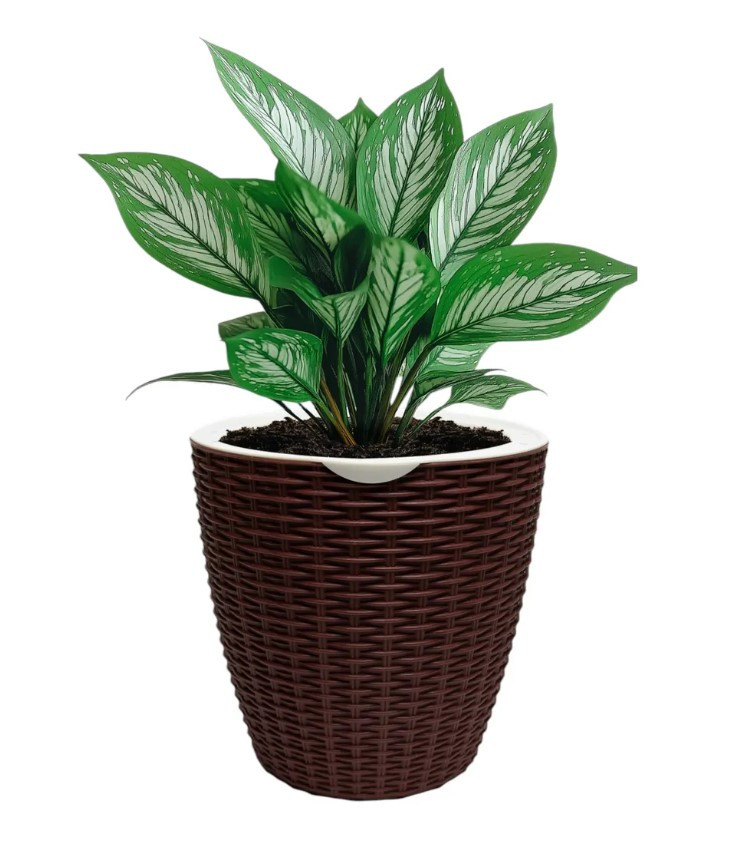 Кашпо Botanica автополив Rattan (13.8x14см, коричневый)