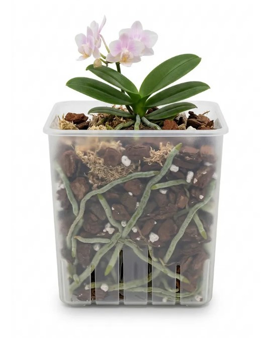Горшок дренажный Botanica Clear квадратный (10.5см, прозрачный)