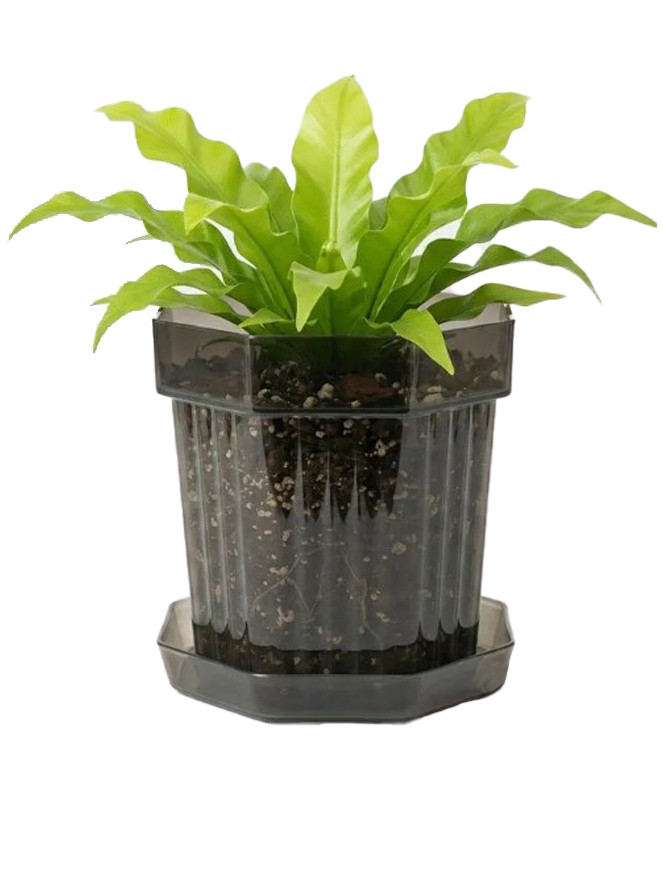 Горшок цветочный Botanica Glass с поддоном (12х12, серый)