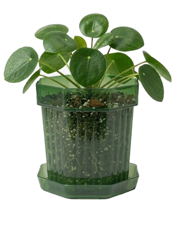 Горшок цветочный Botanica Glass с поддоном (12х12см, зеленый)