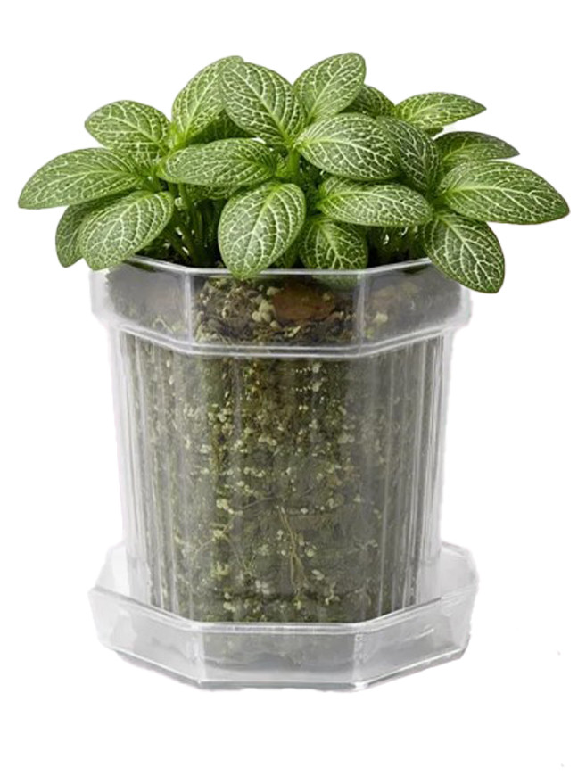 Горшок цветочный Botanica Glass с поддоном (12х12см, прозрачный)