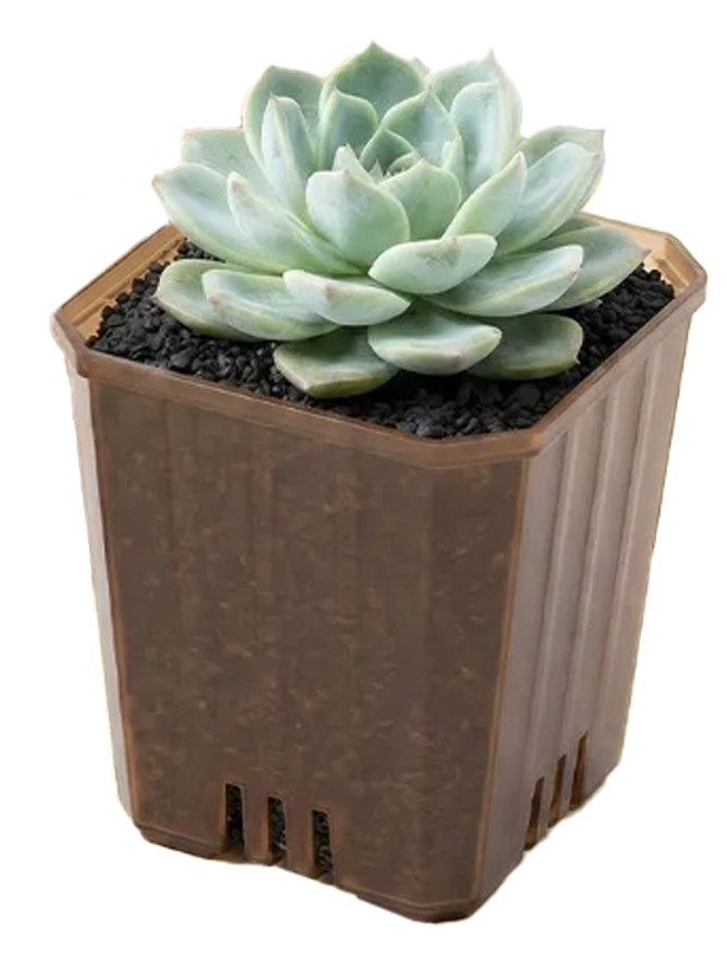 Горшок цветочный Botanica Compact квадратный (7х8см, коричневый)