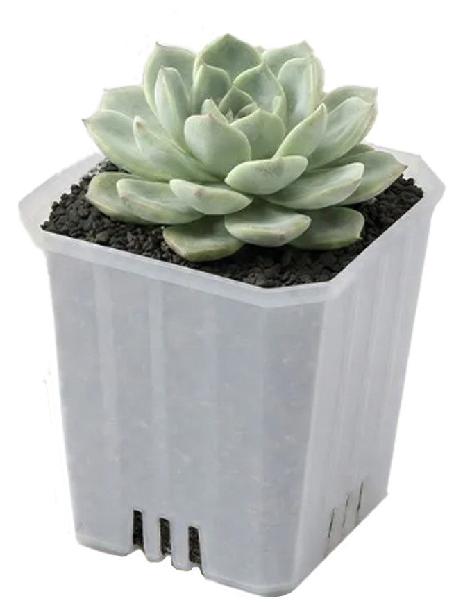 Горшок цветочный Botanica Compact квадратный (7х8см, прозрачный)