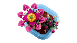 Конструктор Botanicals Цветущий кактус 482 детали аналог Lego, фото 3