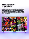 Телевизор Яндекс ТВ Станция Бейсик QLED с Алисой 50 YNDX-00079B, фото 7