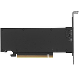 Видеокарта NVIDIA RTX 2000 Ada Generation 16GB GDDR6 900-5G192-2240-000, фото 3