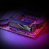 Оперативная память ADATA XPG Lancer Blade 2x16ГБ DDR5 6000 МГц AX5U6000C4816G-DTLABBK, фото 7