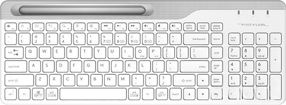 Клавиатура A4Tech Fstyler FBK25 (белый/серый)