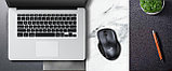 Мышь Genius Ergo 8200S (серый), фото 4
