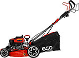 Газонокосилка ECO LG-645 E EC2014-6, фото 2