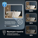 Wellsee Зеркало с фоновой LED-подсветкой 7 Rays' Spectrum 172200870, 70 х 50 см (с сенсором и регулировкой, фото 5