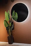 Silver Mirrors Зеркало Monaco Black D1000 LED-00002769, фото 10