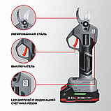 Profipower ProfiSet-2G20 E0217 (цепная пила, секатор, 2 АКБ), фото 4