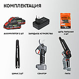 Profipower ProfiSet-2G20 E0217 (цепная пила, секатор, 2 АКБ), фото 6