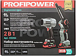Profipower ProfiSet-2D20 (воздуходувка, цепная пила, 2 АКБ), фото 3