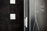 Душевая дверь Ravak MSD2 100 L (серебристый/прозрачное) левая, фото 2