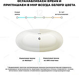 Ванна Wellsee L’aster 175x85 236301003 (отдельностоящая ванна белый глянец, экран, ножки, сифон-автомат, фото 7