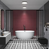 Ванна Wellsee ?clatant 159x74 231301003 (отдельностоящая ванна белый глянец, экран, ножки, сифон-автомат, фото 8