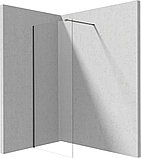 Душевая стенка Deante Prizma Walk-In KTJ_D30P, фото 2