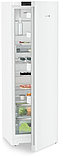 Однокамерный холодильник Liebherr Rd 5220 Plus, фото 4