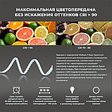 Wellsee Зеркало с фоновой LED-подсветкой 7 Rays' Spectrum 172200920, 55 х 80 см (с сенсором и регулировкой, фото 4