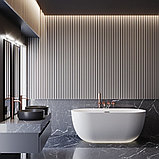 Ванна Wellsee Chic Riviera 170x76 23680503R (отдельностоящая ванна с подсветкой белый глянец, экран, ножки,, фото 8