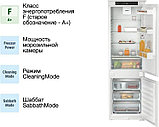 Холодильник Liebherr ICf 5103 Pure, фото 7