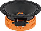 Среднечастотная АС DL Audio Phoenix Punch Machine 165, фото 2